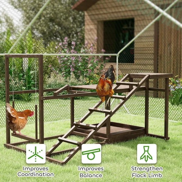 Wooden Chicken Activity Set - Image 4