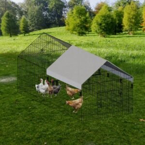 Wire Chicken Coop