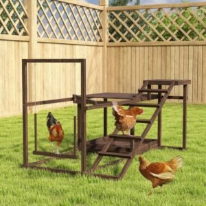 Wooden Chicken Activity Set